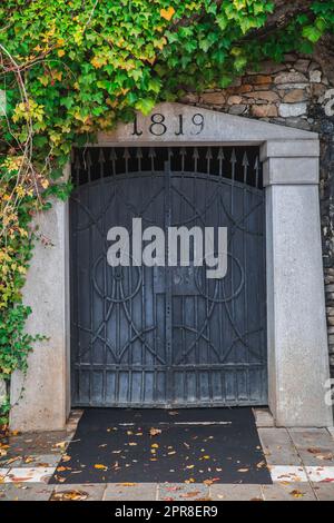 Antica porta in ferro battuto ricoperta di edera di Boston Foto Stock