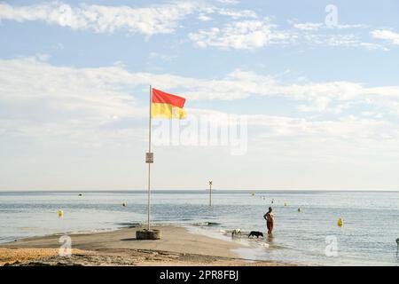 Sur la cote de nacre, en Normandie, France, un vacancier profite des jours d'été à la mer avec ses chiens, au bord de l'eau. Foto Stock