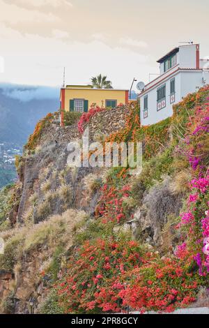 Vista sulla città di edifici residenziali o case sulla scogliera di Santa Cruz, la Palma, Spagna. Storico spagnolo, architettura coloniale, fiori vibranti nel villaggio tropicale di famosa destinazione turistica Foto Stock