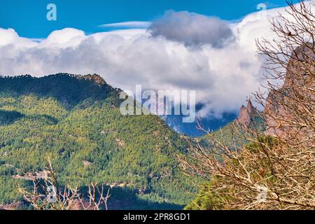 Paesaggio roccioso di montagne, colline e alberi senza foglie nella remota area di la Palma, Isole Canarie, Spagna. Vista panoramica della natura materna, del cielo nuvoloso e della flora. La calma e la bellezza della natura Foto Stock