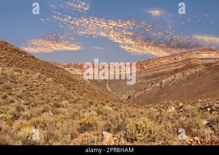 La Cederberg Wilderness area, gestita da Cape Nature Conservation, è una catena montuosa meravigliosamente aspra a circa 200 km a nord di città del Capo. In gran parte incontaminata, questa zona selvaggia designata è caratterizzata da fynbos ad alta quota e, non sorprende, c Foto Stock