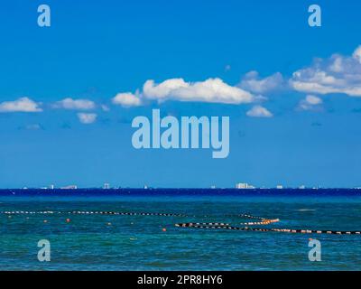 Rete Sargazo di alghe marine nelle acque turchesi di Playa del Carmen, Messico. Foto Stock