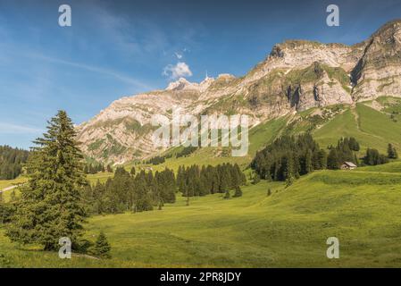 Paesaggio montano idilliaco sullo Schwaegalp, nelle Alpi svizzere, con prati verdi e vetta del Saentis, Svizzera Foto Stock