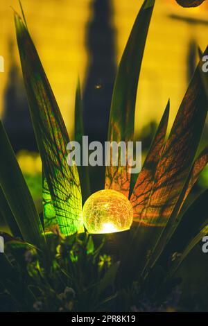 Vista notturna della aiuola illuminata da Lanterna colorata a energia solare a risparmio energetico su Yard. Bellissimo piccolo giardino con luce gialla, lampada nel letto a fiori. Design giardino Foto Stock