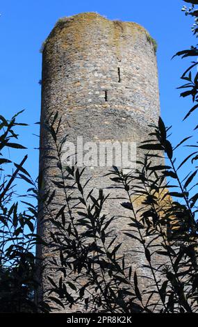 Castello di Burgruine rovine Baldenau Morbach Foto Stock