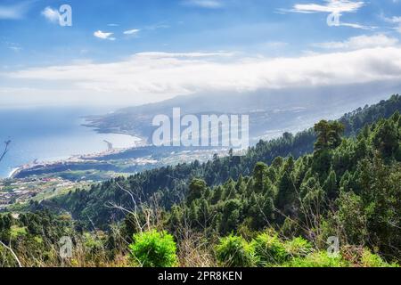 Bellissime foreste di pini nelle montagne di la Palma, Isole Canarie, Spagna. Paesaggio panoramico con alberi alti, lussureggiante vegetazione verde nella natura in una soleggiata giornata estiva con vista sull'oceano e sul cielo blu Foto Stock