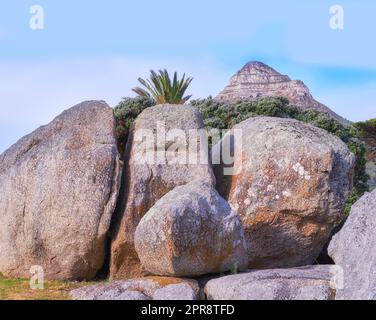 Grandi rocce sedimentarie di fronte a alberi di fiori e piante nella natura in una giornata di sole in primavera o in estate. Vista panoramica del muro di pietra sull'erba con la cima o la cima della montagna e il cielo blu sullo sfondo. Foto Stock