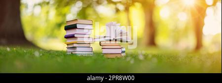 Pile di libri diversi sono sul verde erba nel parco Foto Stock