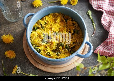 Fiori di dente di leone raccolti in primavera macerando in acqua in una pentola - preparazione di sciroppo di erbe Foto Stock