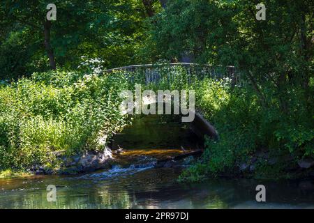 Fiume Niers, regione del basso Reno, Germania Foto Stock