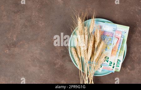 Piatto con banconote di grano e euro, carenza di cibo e prezzi in aumento, povertà attraverso l'inflazione Foto Stock