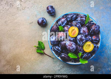 Prugne appena raccolte (Zwetschgen) frutta in ciotola Foto Stock