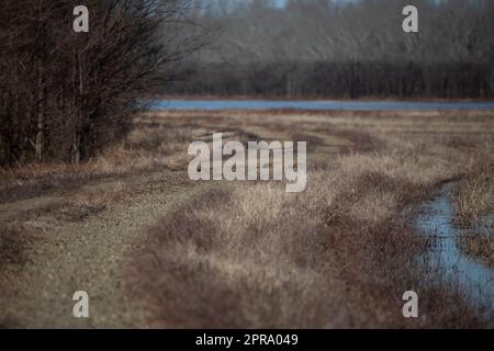 Percorso sterrato lungo l'acqua Foto Stock