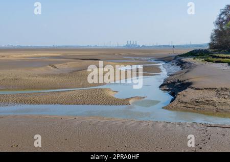 Flint Forestshore con la bassa marea Foto Stock