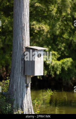 Scatola di nidificazione in legno anatra Foto Stock