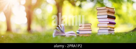 Pile di libri diversi sono sul verde erba nel parco Foto Stock