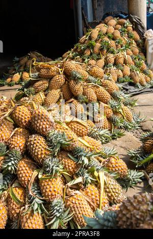 Molti ananassi impilati su strada nella città Galle, Sri Lanka Foto Stock