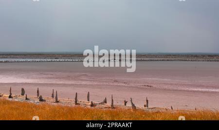 le colonne di legno coprivano grandi saline nel lago rosa. Crimea, Saki Foto Stock