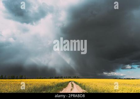 Spettacolare cielo piovoso con nuvole piovose e raggi del sole su Horizon Above Rural Landscape Camola colza Coleseed Field. Country Road. Concetto di previsione agricola e meteorologica Foto Stock