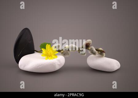 Spa STILL Life con sfumature di grigio calme Foto Stock