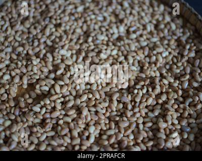 Foto ravvicinata la texture dei semi di soia per COME ottenere la soia prodotto: Tempea cruda fatta in casa . Concetto di cibo vegetariano sano Foto Stock