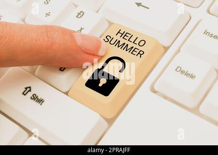 Cartello con la scritta Hello Summer. Internet Concept che accoglie la stagione più calda dell'anno arriva dopo la primavera del -48782 Foto Stock