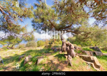 Bellissimo paesaggio estivo, con effetto Photoshop di pittoresca glade al mare con pineta con tronco curvo e rami districati che crescono accanto Foto Stock