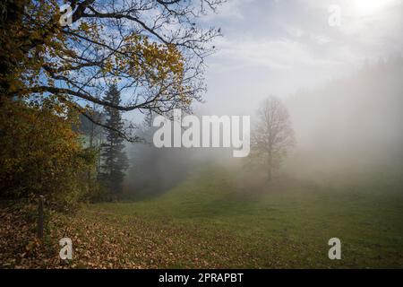 Wafts di nebbia nelle montagne dell'Austria Foto Stock