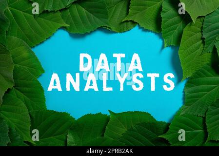 Didascalia di testo che presenta Data Analyst. Word for Programmer Design and Create Report identifica modelli informazioni importanti scritte su carta sotto molte foglie. Foto Stock