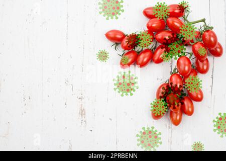 Varicella di pomodoro, focolaio del virus in India, diffusione di malattie infettive Foto Stock