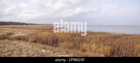 Costa orientale dello Jutland, Danimarca. La costa orientale dello Jutland di fronte a Kattegat. Foto Stock