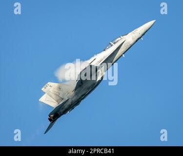 Il fantastico Hornet! Foto Stock