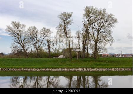 Argine del fiume Morava con una casa abbandonata e alberi a Uherské Hradiště (Uherske Hradiste) Foto Stock