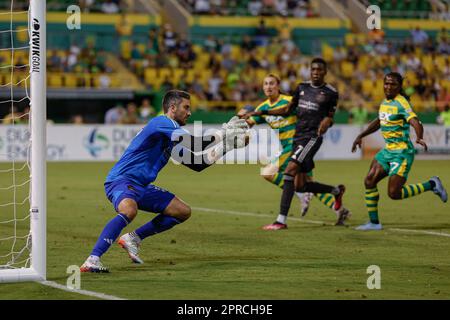 St Petersburg, FL: Il portiere di Houston Dynamo Andrew Tarbell (13) fa un risparmio su un colpo da Tampa Bay Rowdies avanti Cal Jennings (26) durante il thi Foto Stock