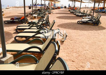 Spiaggia tropicale di sabbia in vacanza, un resort tropicale con lettini pieghevoli bianchi in fila, lettini e ombrelloni sullo sfondo del mare A. Foto Stock