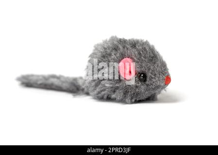 Mouse giocattolo grigio peluche per la foto dei gatti su sfondo bianco. per pubblicità e banner Foto Stock