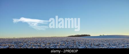 Terreno agricolo in inverno. Una foto invernale della campagna in Danimarca. Foto Stock