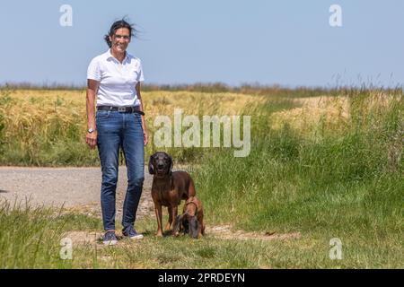 donna con due cani localizzatori Foto Stock