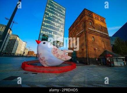 Gonfiabili illuminati Ukrainian Song Birds sono collocati intorno al centro di Liverpool City per il concorso Eurovision. Foto Stock