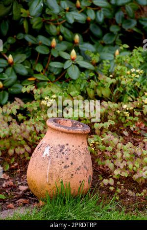 Il prodotto di giardinaggio corretto. Un giardino ben tenuto. Foto Stock