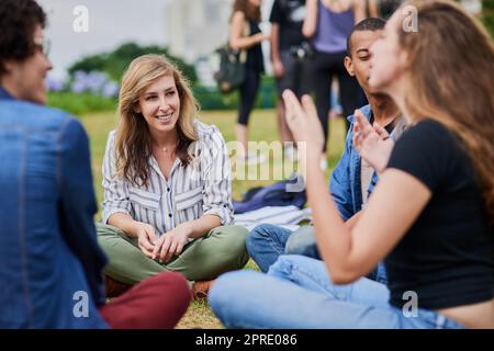 Un gruppo di giovani studenti che studiano insieme mentre sono seduti in un parco esterno durante il giorno. Foto Stock