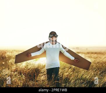 Distendete le ali e alzate le ali. Un ragazzino che finge di volare con un paio di ali di cartone in un campo aperto. Foto Stock