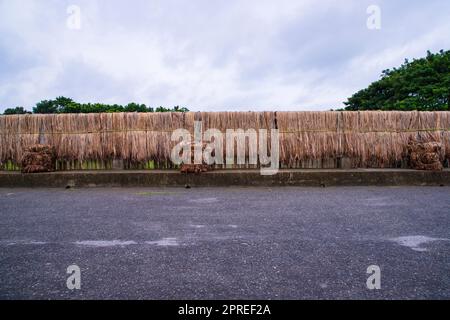 Fibra di iuta grezza bagnata d'oro che pende sotto la luce del sole per asciugarsi Foto Stock