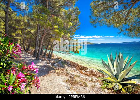 Idilliaco turchese spiaggia rocciosa vista paesaggio a Zara riviera, Pakostane in Dalmazia regione della Croazia Foto Stock