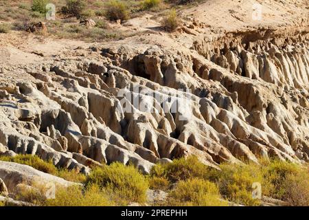 Esempio di grave erosione del suolo in una zona arida del Sud Africa Foto Stock