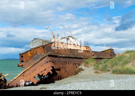 Relitti sulla spiaggia di San Gregorio, sito storico del Cile Foto Stock