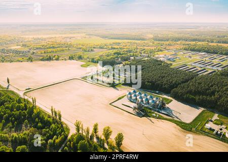 Vista aerea Granaio moderno, complesso di essiccazione dei cereali, cereali commerciali o silos di semi nel paesaggio rurale di Sunny Spring. Essiccatore per mais Silos, Inland Grain Terminal, elevatori per cereali in piedi in Un campo Foto Stock