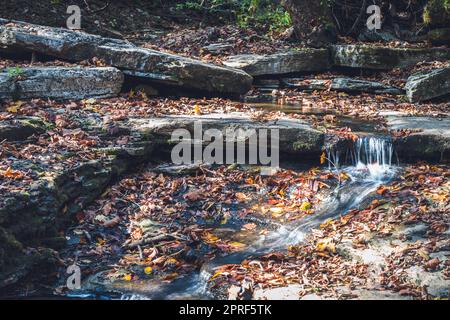 Raven Run Creek e gola nel Raven Run Nature Sanctuary di Lexington, Kentucky Foto Stock