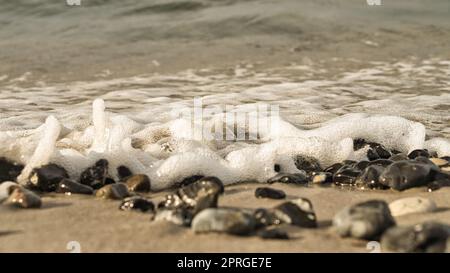 Sulla spiaggia del Mar Baltico con molte selce Foto Stock