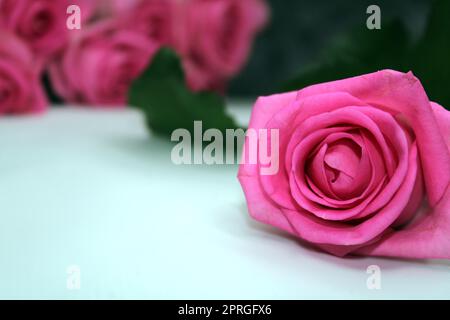 Primo piano rosa pallido su un tavolo bianco. Bouquet di rose sfocate sullo sfondo Foto Stock